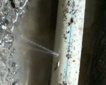 鹤壁市卫生间测漏水多少钱